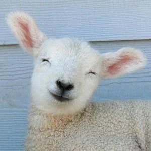 Meet your Posher, Maggie